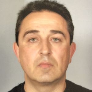Plamen Kolev's profile picture